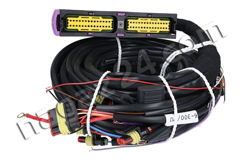AC wiring loom STAG-300-6 QMAX BASIC AC STAG (cena) | LPG...