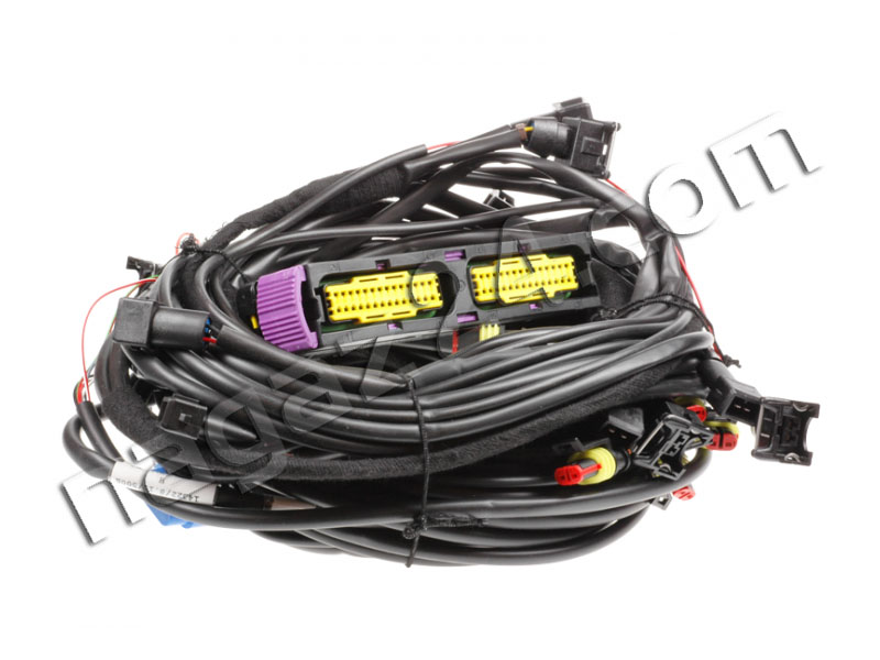 AC STAG - STAG - 300-8ve wiring harness