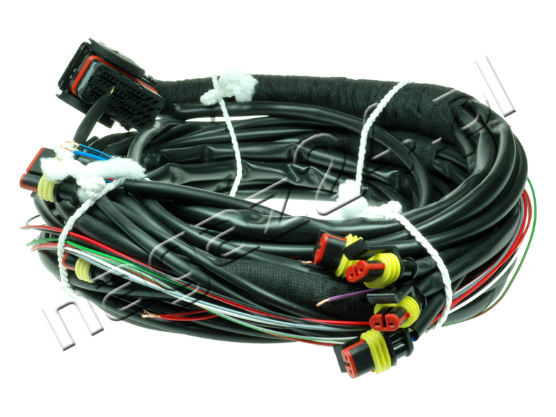AC STAG - Stag-4 QBOX  ECU wiring harness