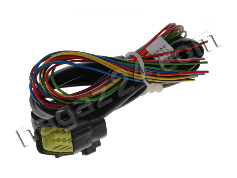 LANDI RENZO - OMEGAS 4-cyl. wiring without plugs
