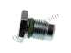 LOVATO LPG electrovalve coil fitting screw - zdjęcie 3