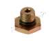STEFANELLI LPG valve coil fitting screw w/o-ring - zdjęcie 3
