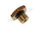 STEFANELLI LPG valve coil fitting screw w/o-ring - zdjęcie 1