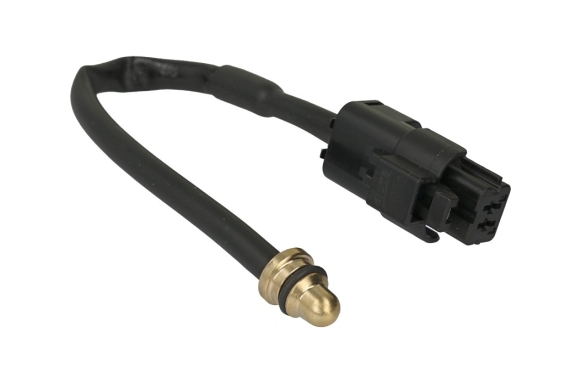 AEB - AEB 369INJ temperature sensor for EVO rail