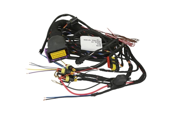 ACON - AGIS M210 harness 4 cylinders