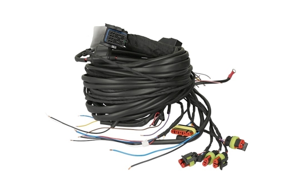 EUROPEGAS - EuropeGas harness for 32.4 Avance Eco controller