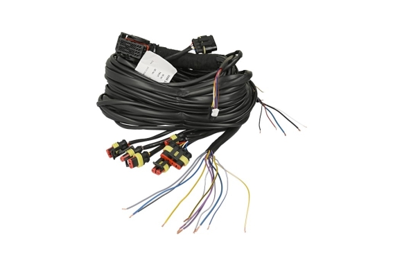 EUROPEGAS - EuropeGas harness for EG 48.4 INJECTO controller