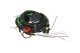 KME NEVO-SKY DUAL 4cyl (RL) elektronika DG7 activ - zdjęcie 3